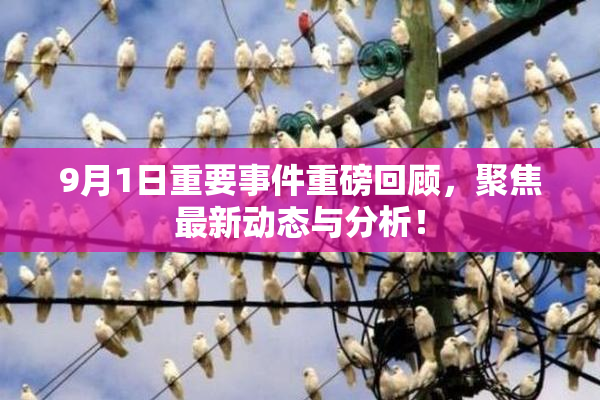 9月1日重要事件重磅回顾，聚焦最新动态与分析！