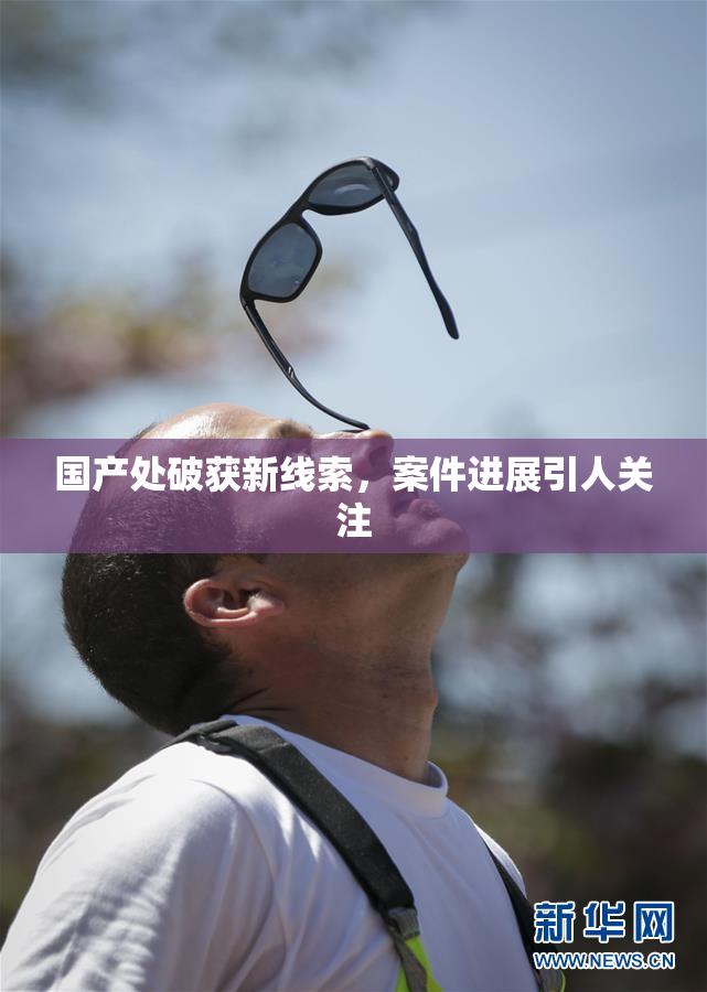国产处破获新线索，案件进展引人关注