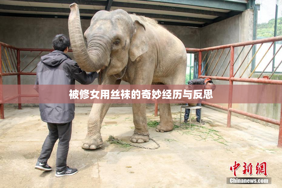 被修女用丝袜的奇妙经历与反思