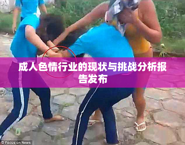 成人色情行业的现状与挑战分析报告发布