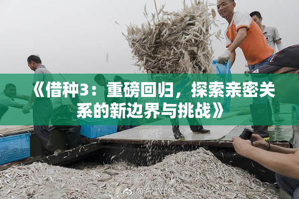 《借种3：重磅回归，探索亲密关系的新边界与挑战》