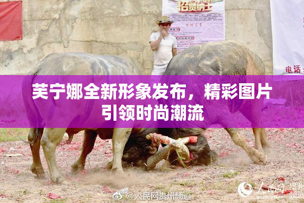 芙宁娜全新形象发布，精彩图片引领时尚潮流