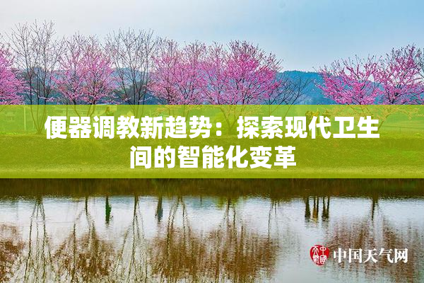 便器调教新趋势：探索现代卫生间的智能化变革