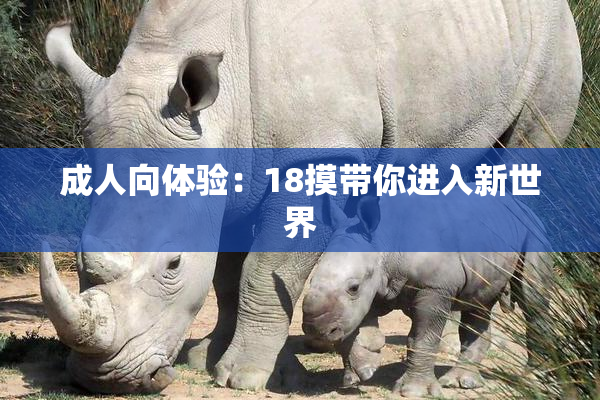 成人向体验：18摸带你进入新世界