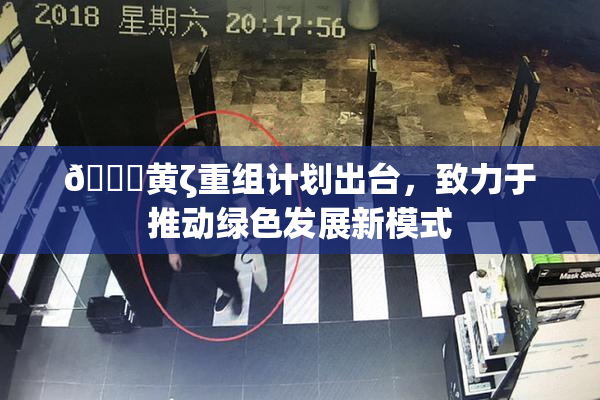 🔞黄ζ重组计划出台，致力于推动绿色发展新模式