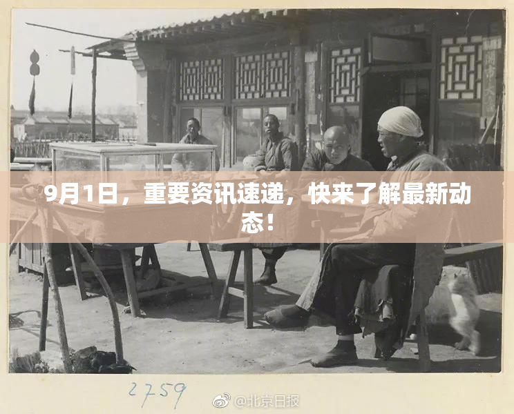 9月1日，重要资讯速递，快来了解最新动态！