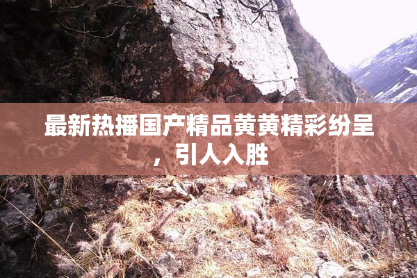 最新热播国产精品黄黄精彩纷呈，引人入胜