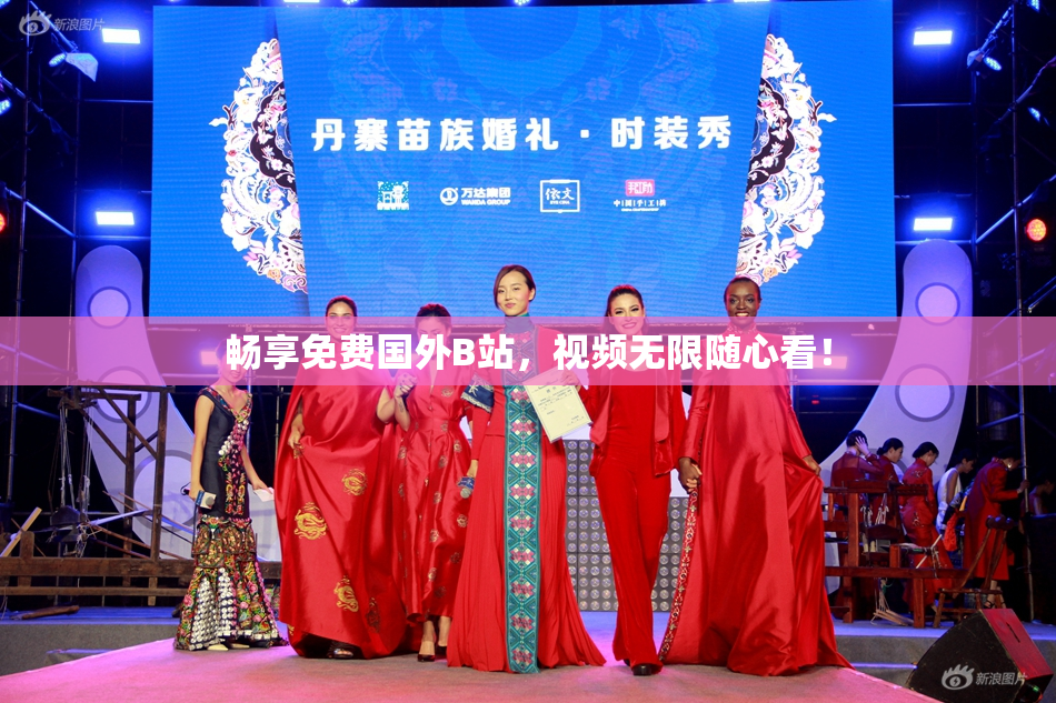 畅享免费国外B站，视频无限随心看！