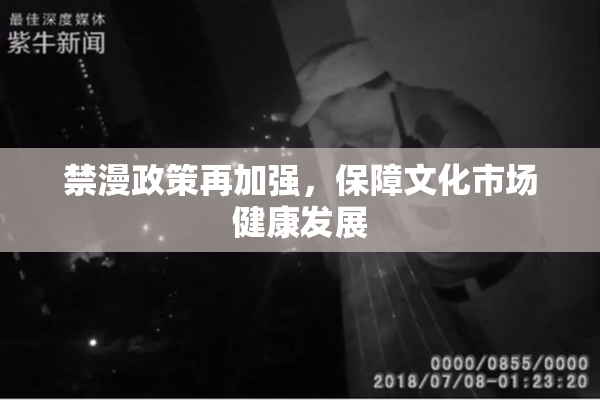 禁漫政策再加强，保障文化市场健康发展