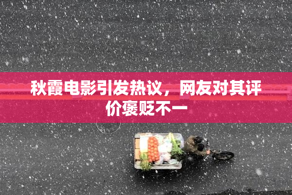 秋霞电影引发热议，网友对其评价褒贬不一