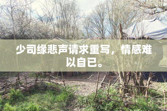 少司缘悲声请求重写，情感难以自已。