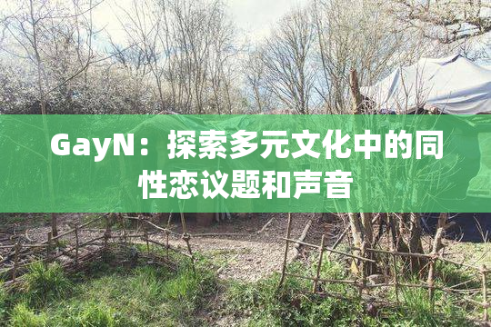 GayN：探索多元文化中的同性恋议题和声音