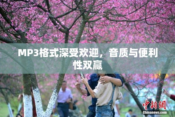 MP3格式深受欢迎，音质与便利性双赢