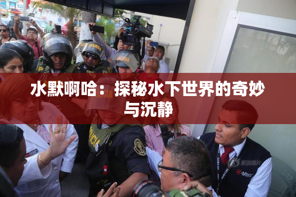 水默啊哈：探秘水下世界的奇妙与沉静