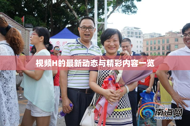 视频H的最新动态与精彩内容一览