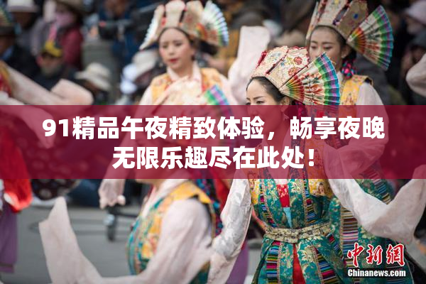 91精品午夜精致体验，畅享夜晚无限乐趣尽在此处！