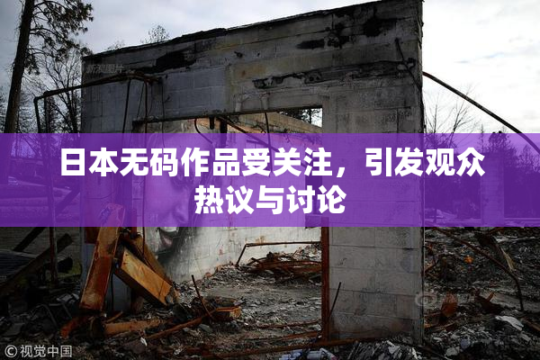 日本无码作品受关注，引发观众热议与讨论