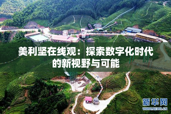 美利坚在线观：探索数字化时代的新视野与可能