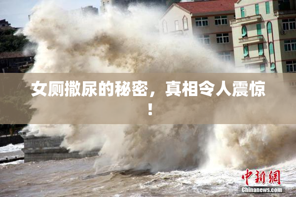 女厕撒尿的秘密，真相令人震惊！