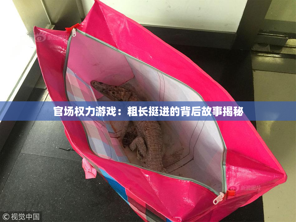 官场权力游戏：粗长挺进的背后故事揭秘