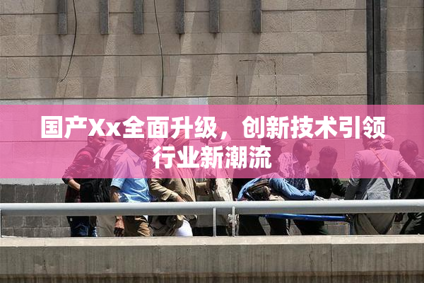 国产Xx全面升级，创新技术引领行业新潮流