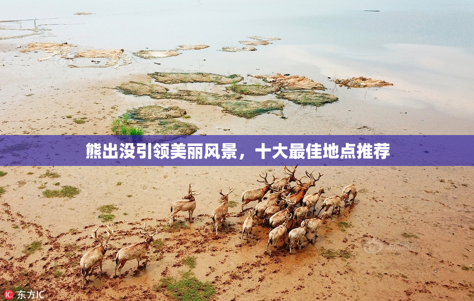 熊出没引领美丽风景，十大最佳地点推荐