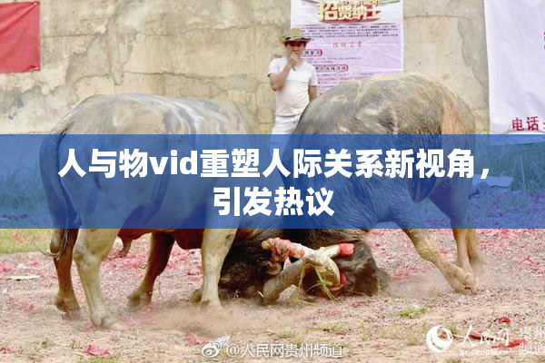 人与物vid重塑人际关系新视角，引发热议