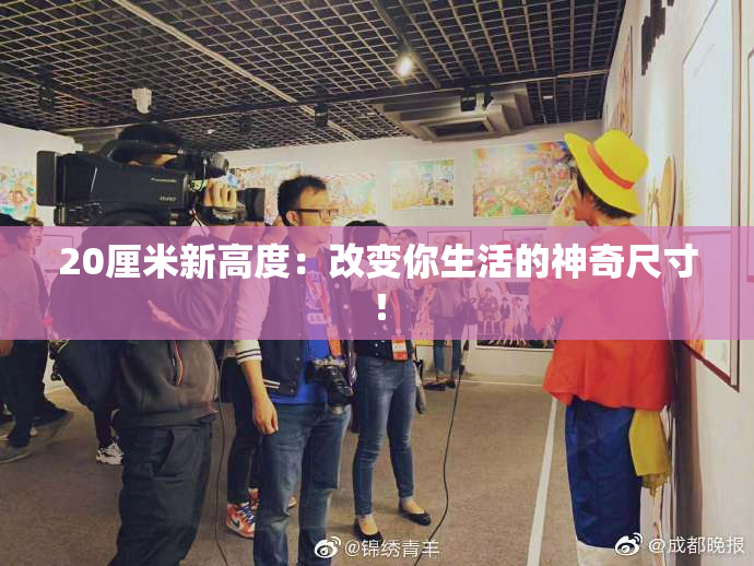 20厘米新高度：改变你生活的神奇尺寸！