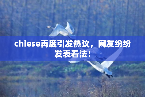 chiese再度引发热议，网友纷纷发表看法！