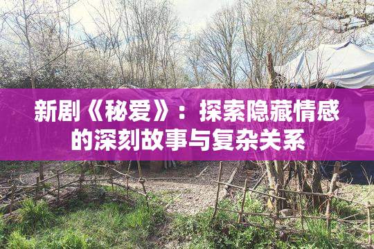 新剧《秘爱》：探索隐藏情感的深刻故事与复杂关系