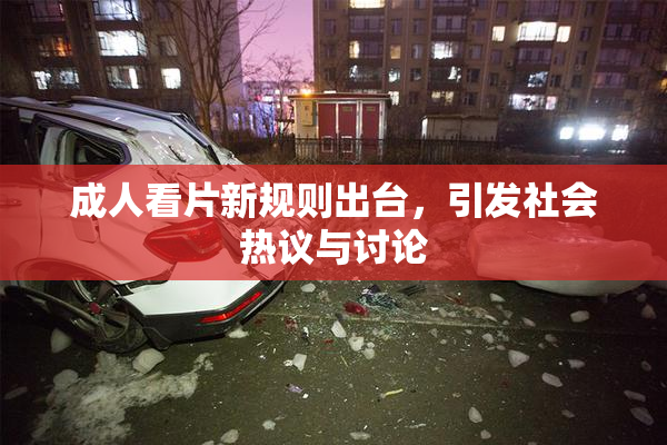 成人看片新规则出台，引发社会热议与讨论