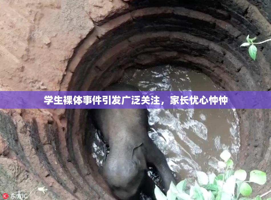 学生裸体事件引发广泛关注，家长忧心忡忡
