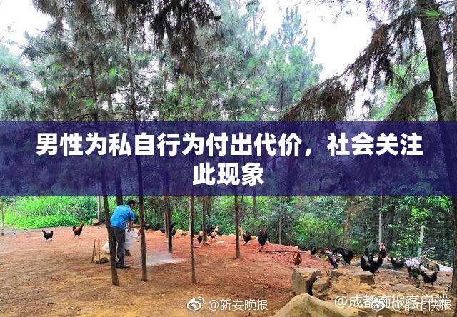 男性为私自行为付出代价，社会关注此现象