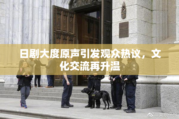 日剧大度原声引发观众热议，文化交流再升温