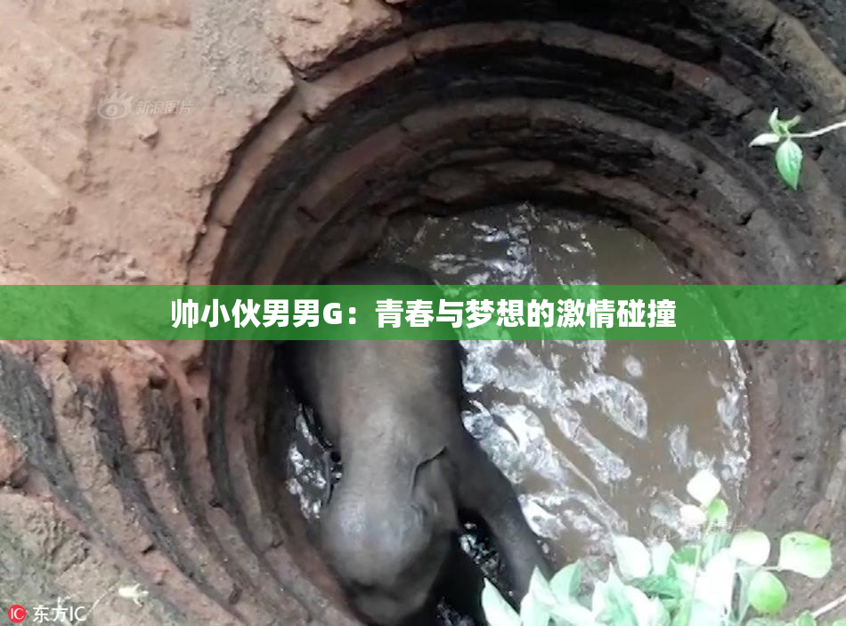 帅小伙男男G：青春与梦想的激情碰撞