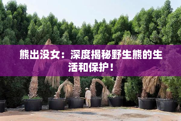 熊出没女：深度揭秘野生熊的生活和保护！