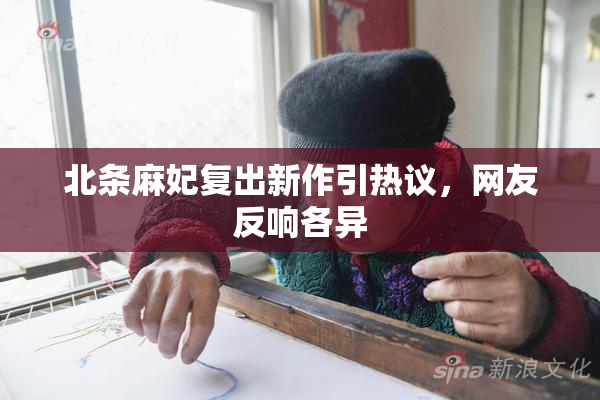 北条麻妃复出新作引热议，网友反响各异