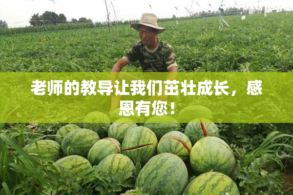 老师的教导让我们茁壮成长，感恩有您！