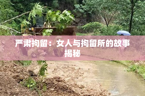 严肃拘留：女人与拘留所的故事揭秘
