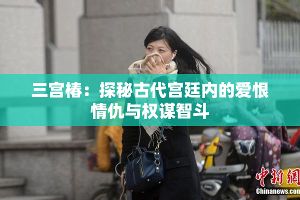 三宫椿：探秘古代宫廷内的爱恨情仇与权谋智斗