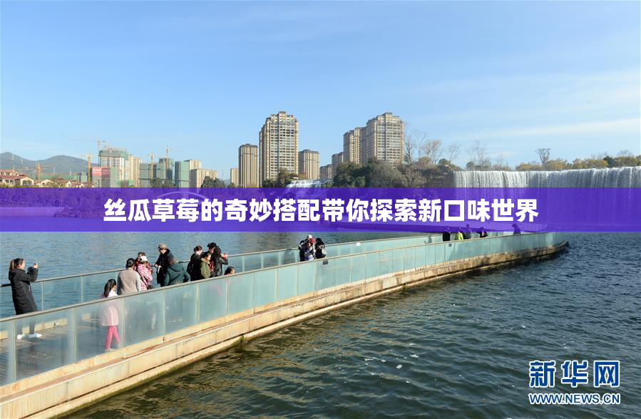 丝瓜草莓的奇妙搭配带你探索新口味世界