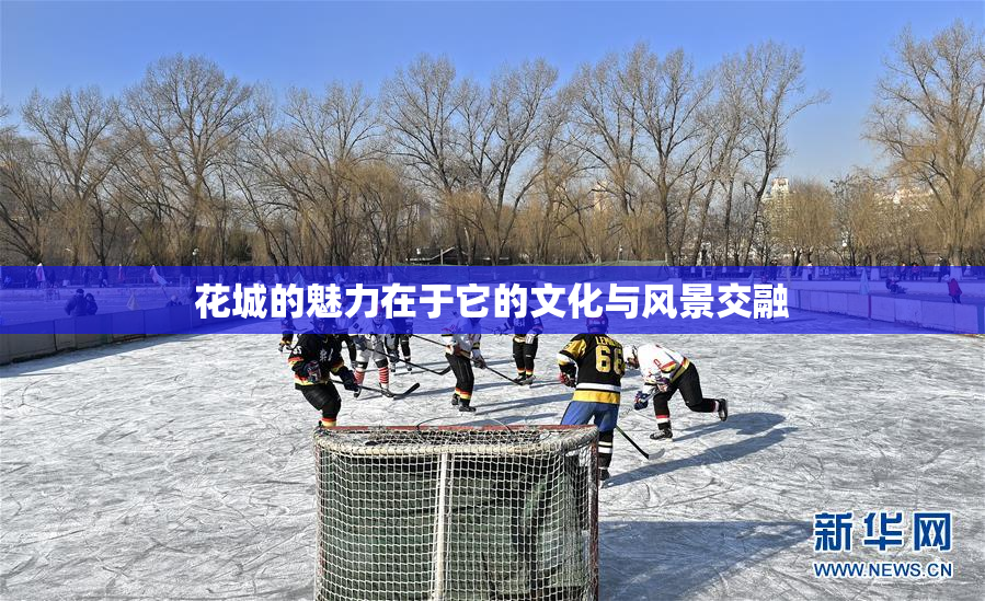 花城的魅力在于它的文化与风景交融