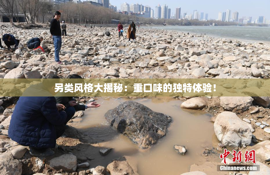 另类风格大揭秘：重口味的独特体验！