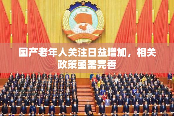 国产老年人关注日益增加，相关政策亟需完善