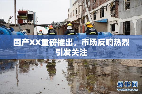 国产XX重磅推出，市场反响热烈引发关注