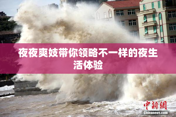夜夜爽妓带你领略不一样的夜生活体验
