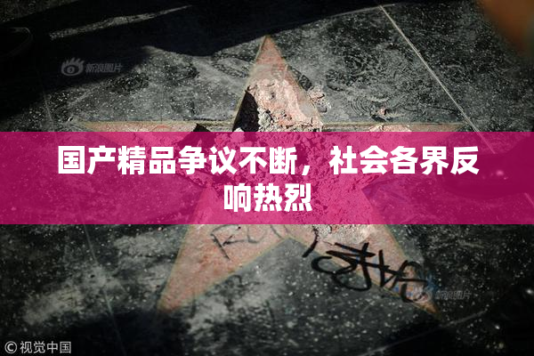 国产精品争议不断，社会各界反响热烈