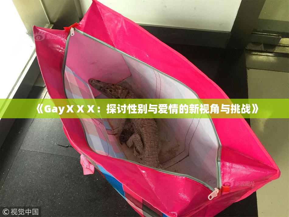 《GayⅩⅩⅩ：探讨性别与爱情的新视角与挑战》