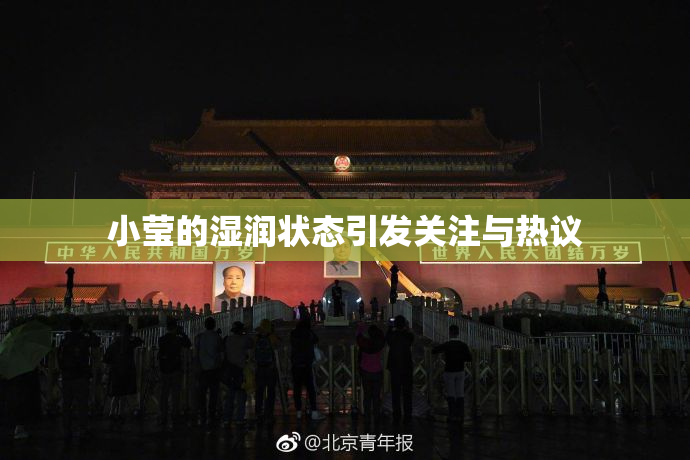 小莹的湿润状态引发关注与热议