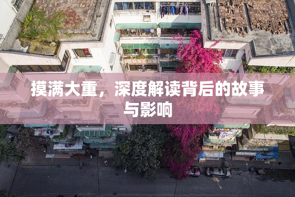 摸满大重，深度解读背后的故事与影响